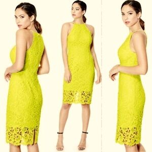 Like New! Zara Dandelion Yellow Lace Halter Dress Lrg